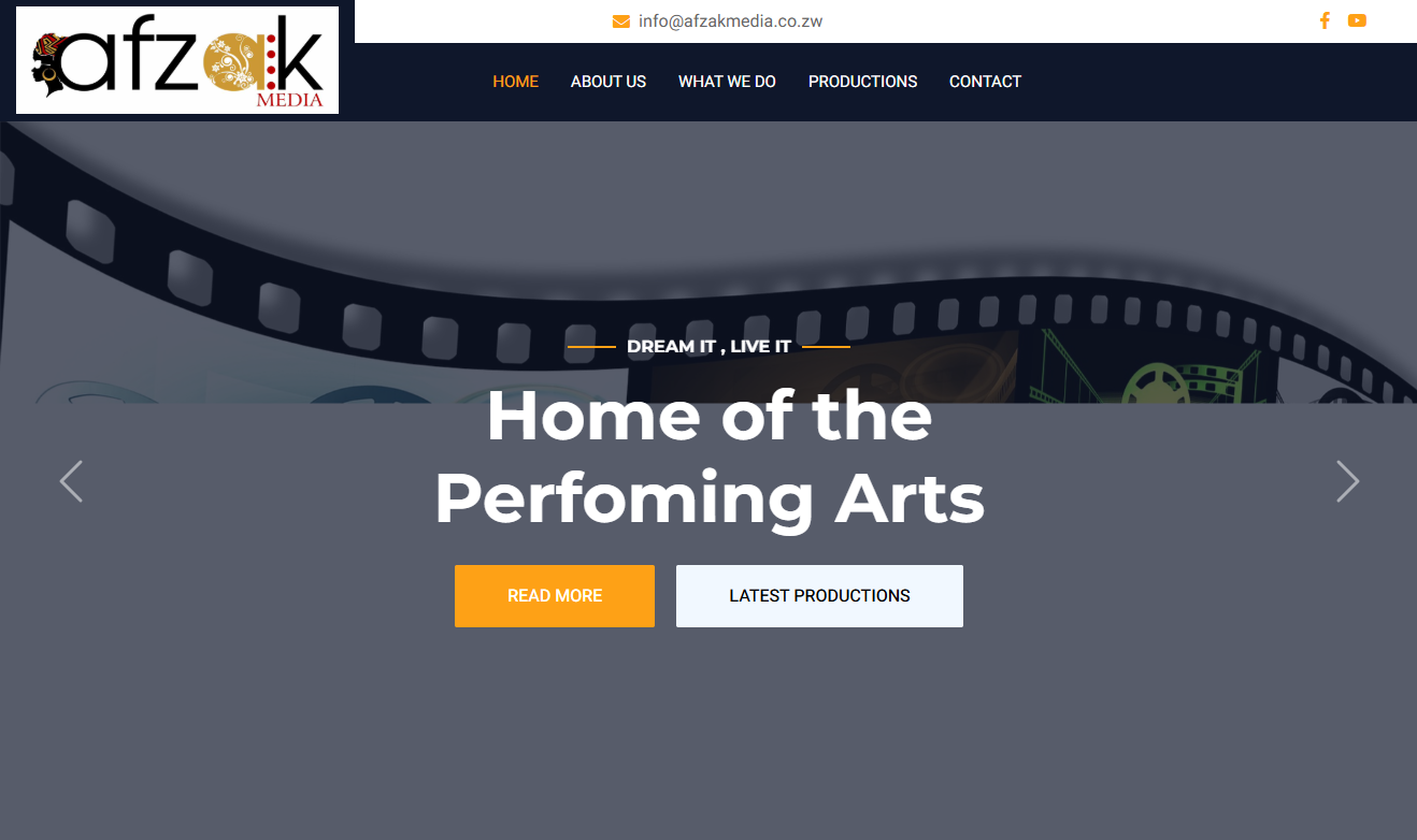 Modern corporate website redesign with clear navigation and brand elements for a Zimbabwean financial advisory firm.